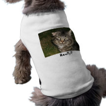 Vraiment ? Chemise de chien Tee-shirts Pour Animaux Domestiques