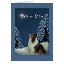 Vrede Sheltie Kaart