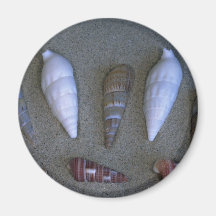Vreedzame shells Shell Magneten