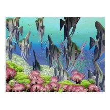 Vue sous-marine # 6 cartes postales