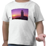 WA, het Park van de Staat van de Teleurstelling va Shirts