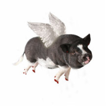 Wanneer de Varkens vliegen Fotobeeldje