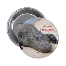 Wat voor de KrokodilleKnoop van de Lunch is