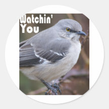 Watchin u ronde stickers