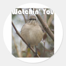 Watchin u ronde stickers