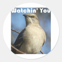 Watchin u stickers
