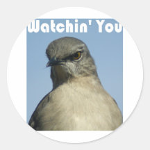 Watchin u stickers