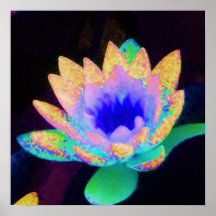 Waterlilly au néon poster