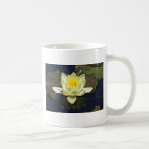 Waterlilly Tasses À Café