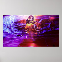 watershot5 poster