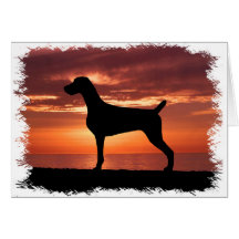 Weimaraner Carte