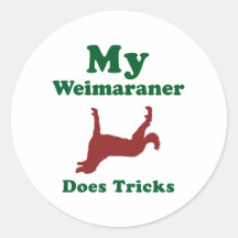 Weimaraner longtemps enduit adhésifs ronds