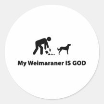Weimaraner longtemps enduit autocollants