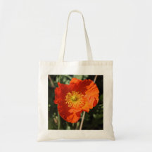 Welse Papaver (Sinaasappel) Tassen
