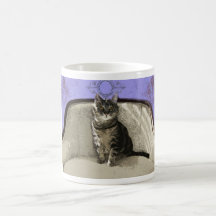 Werkelijk koele kat mok