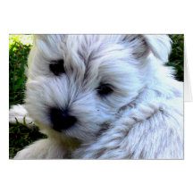 Westie Cartes De Vœux