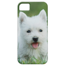 Westie Coques iPhone 5