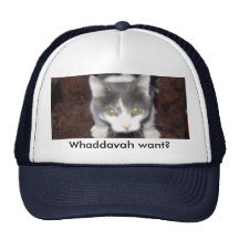 Whaddayah wil? pet met netje