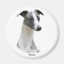 Whippet 9Y205D-231 Aimant