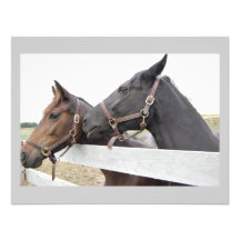 Whisperer original de cheval invitations