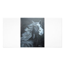 wild paard foto wenskaarten