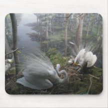 Wilde Vogels Mousepad Muis Mat