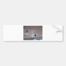 wilde vogels (Oklahoma) Bumpersticker