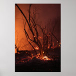 Wildfire Poster