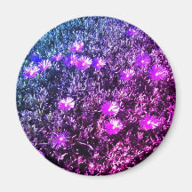 Wildflowers Koelkast Magneten