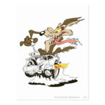 Wile E. Coyote Crazy Blik briefkaarten