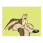 Wile E. Coyote Impending Noodlot briefkaarten
