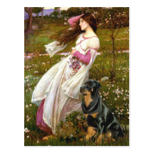 Windflowers - Rottweiler (#5) Wens Kaarten
