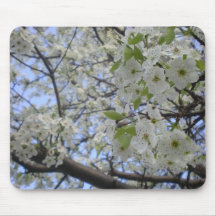 Witte Bloeiende Boom Mousepad Muismatten