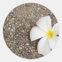 Witte bloem Frangipani op rotsoppervlakte Ronde Sticker