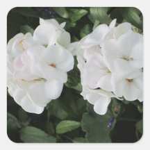 Witte Bloemen Vierkant Sticker