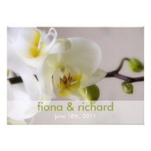 Witte Orchidee • De Uitnodiging van het huwelijk