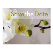 Witte Orchidee • Sparen het Briefkaart van de Datu Wenskaart