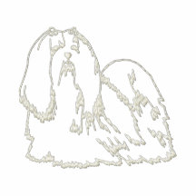 WITTE PLUIS POLO