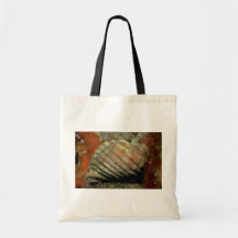 Witte rotsshell (orbita van Thais) Shell Canvas Tassen
