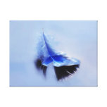 Witte veer die eenvoudig vaart stretched canvas prints