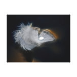 Witte veer met een regendruppel gallerij wrapped canvas