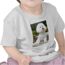 wiz1 t-shirt