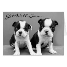 Word goed spoedig de kaart van het Puppy van Bosto