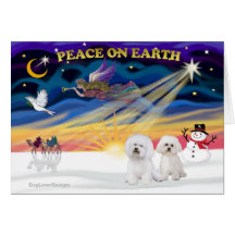 XmasSunrise-2 Bichon Frise Cartes De Vœux