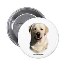 Y ellow Labrador Buttons
