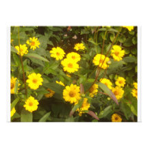 yellow Flowers Faire-parts