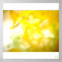 Yellow Lights, Pô Affiches