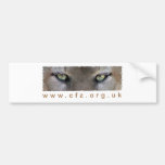 Yeux de groupe de travail de grand chat de CFZ Autocollant Pour Voiture