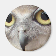 Yeux de hibou aimants pour réfrigérateur