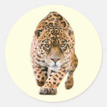 Yeux de marche de Jaguar Adhésifs
